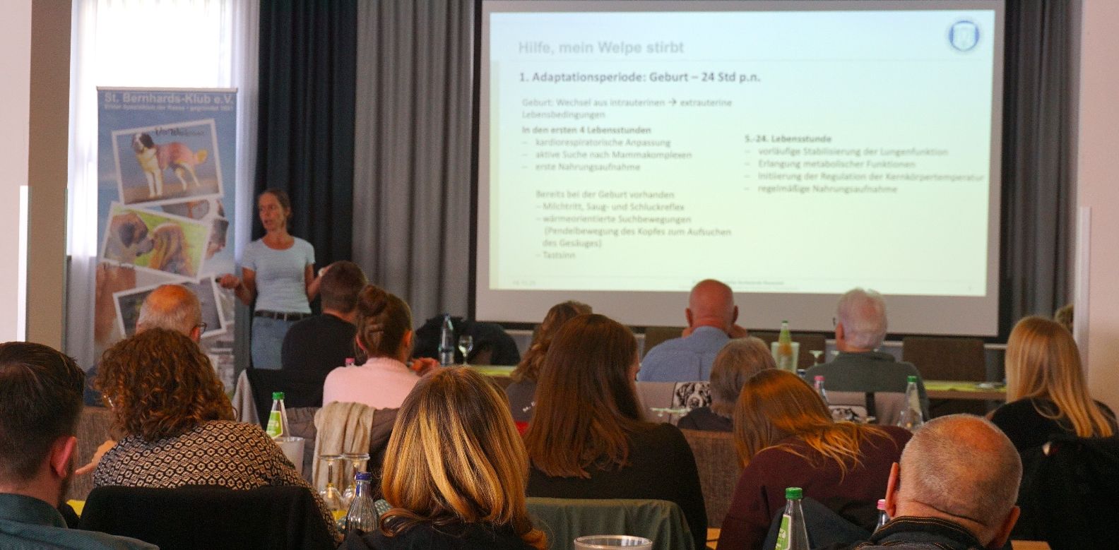 Rückblick Bernhardinerwochenende