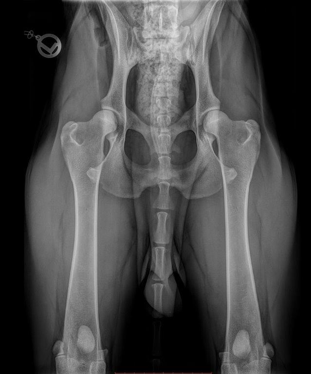 Aktualisierte Dokumente