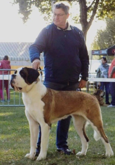 Wir stellen vor: Didier Basset