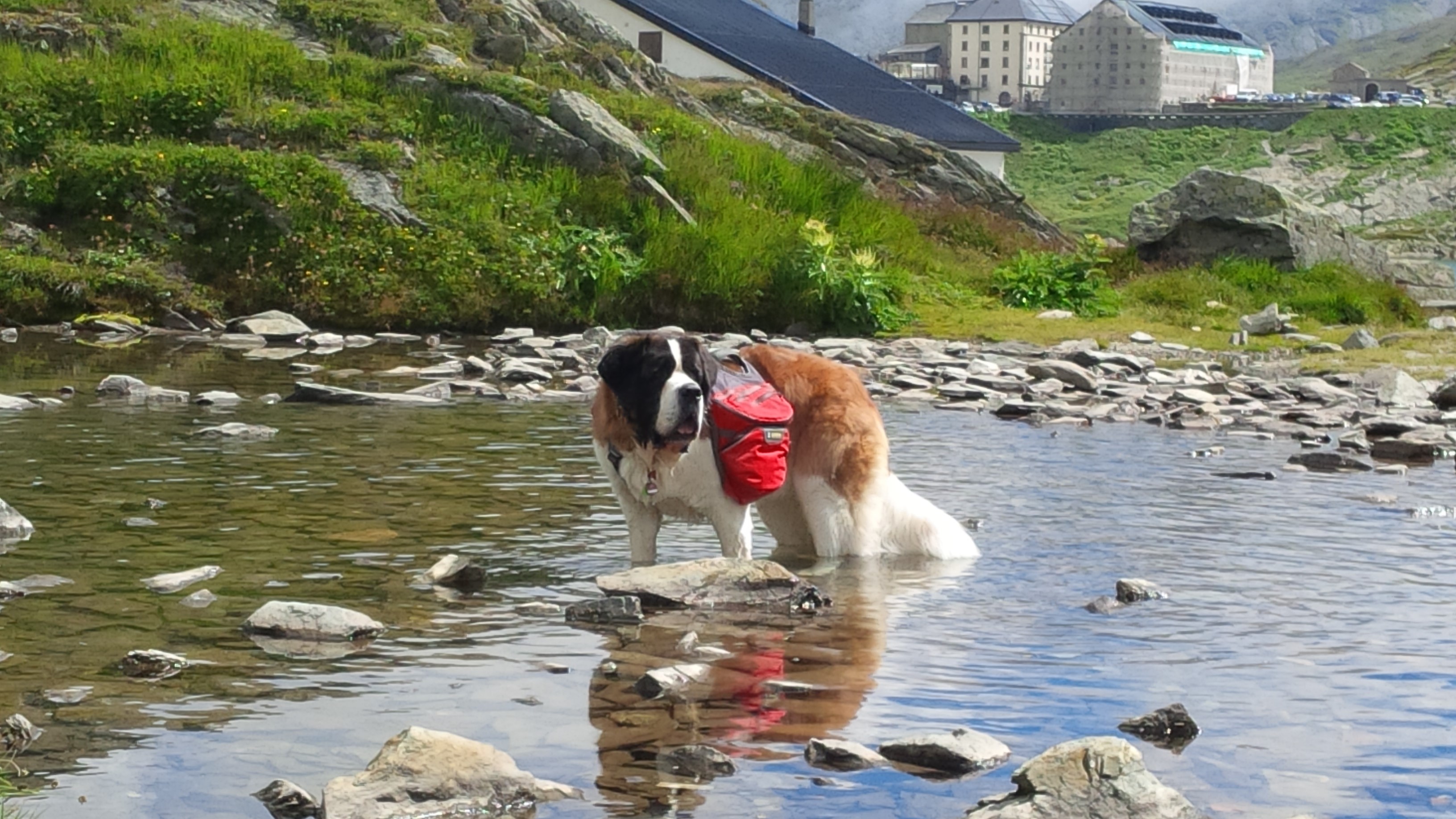 Wandern mit Rucksack