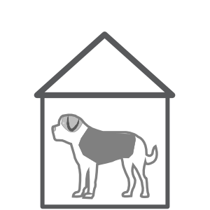 Home Bernhardiner Icon transparent